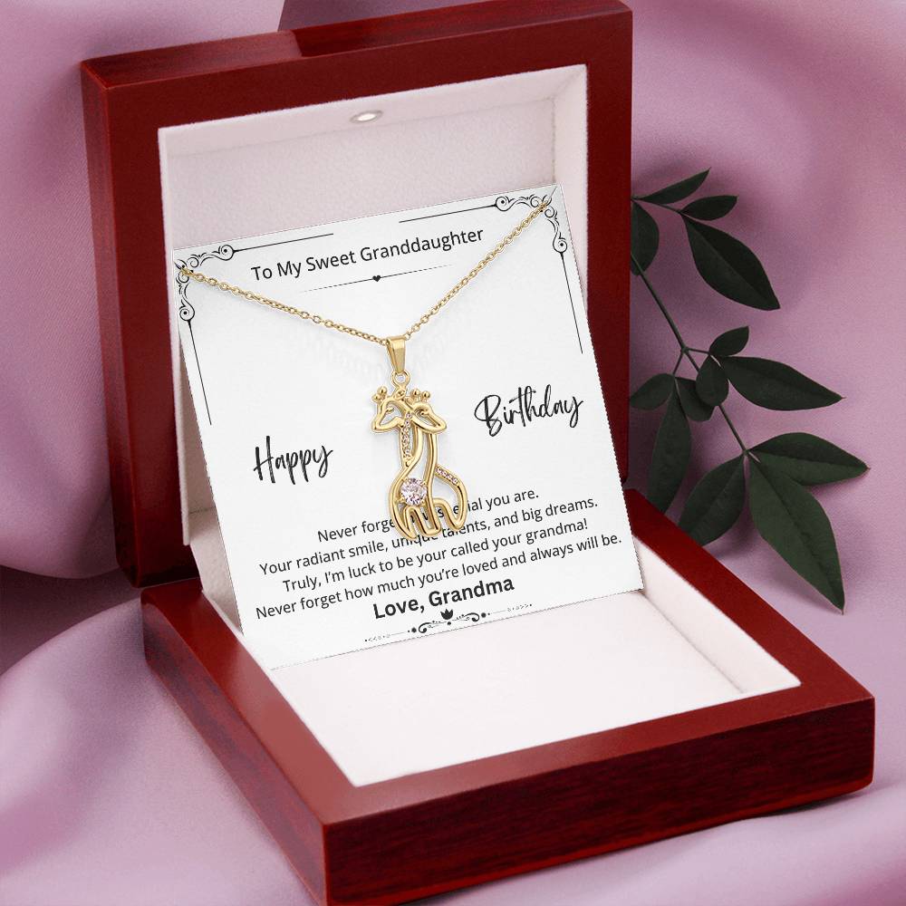 Granddaughter Birthday Gift| Never Forget How Special You Are