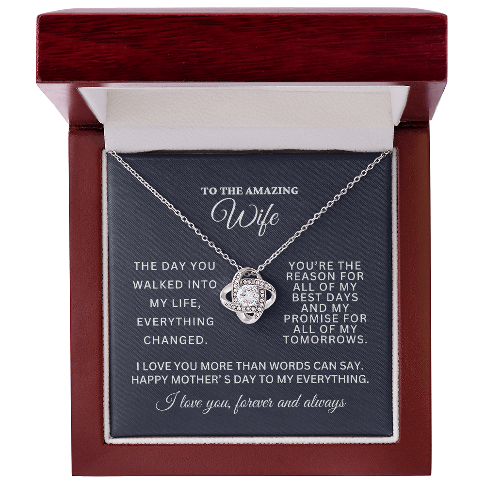 To Wife - I Love You More Than Words Can Say - From Husband