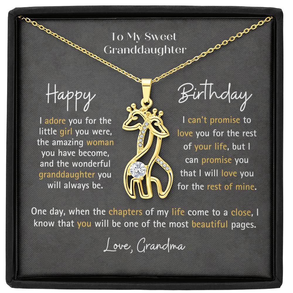 Granddaughter Birthday Gift  - You Are One of the Most Beautiful Pages Of My Life - From Grandparents